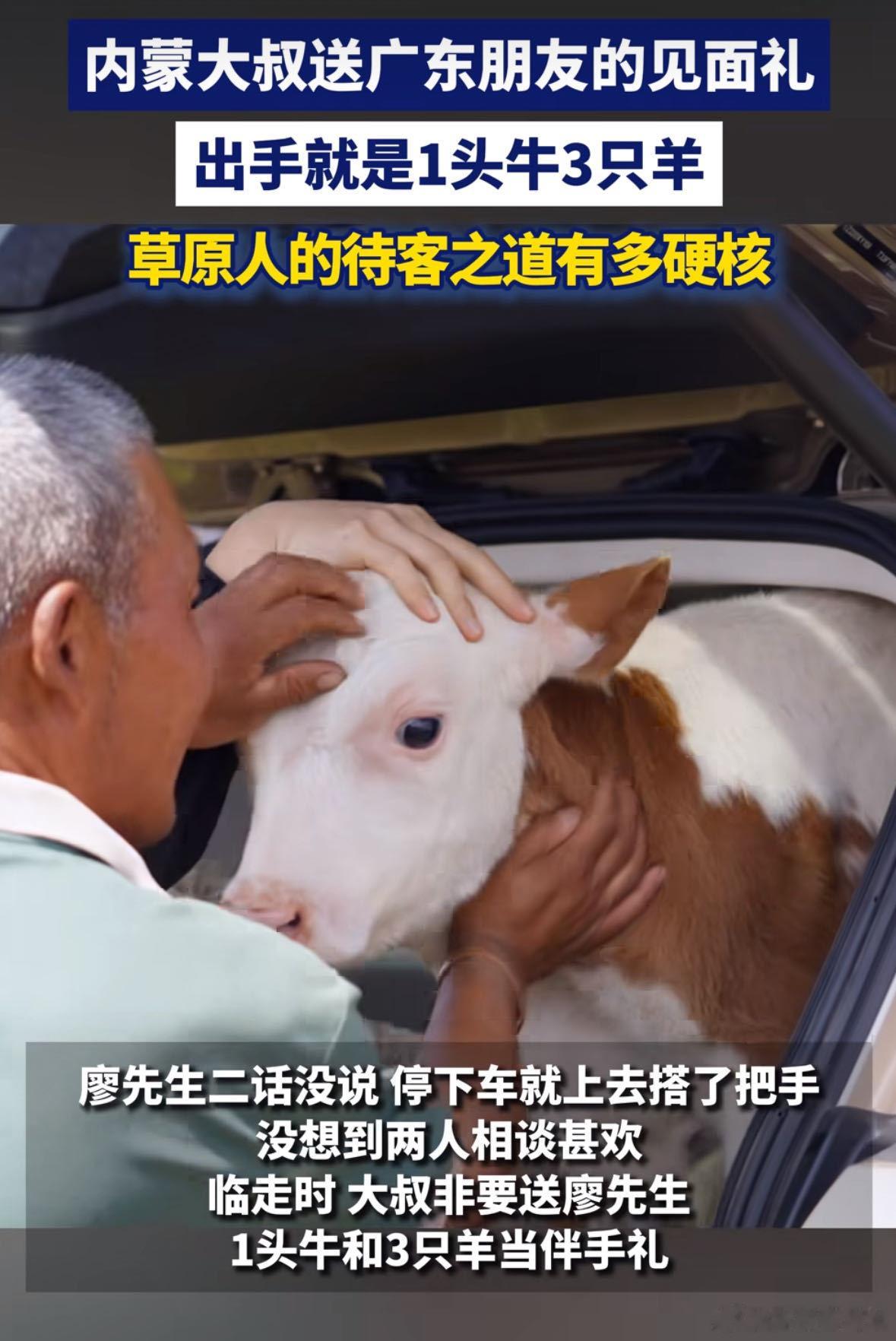 去过内蒙自驾的都懂，当地牧民大多淳朴好客，路上遇困、搭把手，总会被热情招待。看得