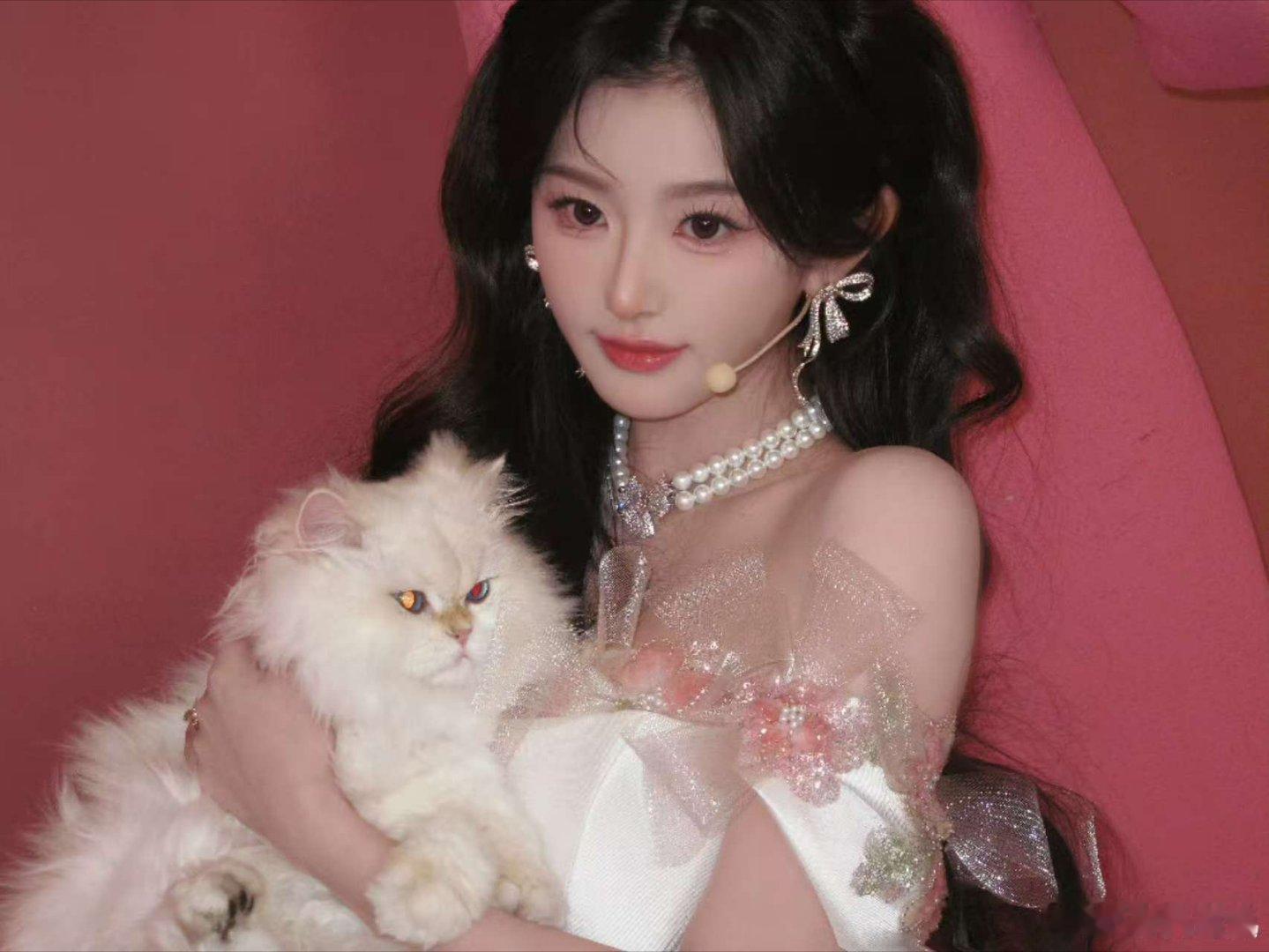 孔雪儿抱猫，猫猫公主，