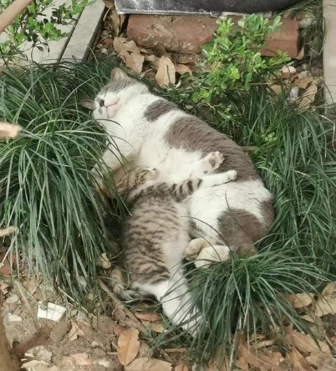 流浪的母子俩～