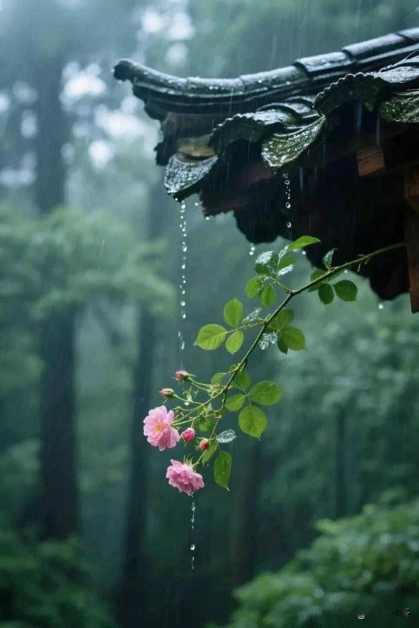 翻开史书，你会发现一个规律：“在人类的争斗史上，最先死掉的是忠诚厚道的人，其次是