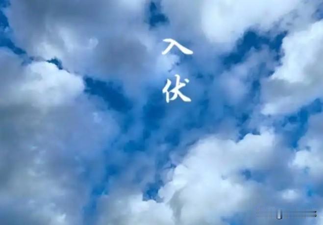 明天入伏！无论多忙，记得：一不洗、二要晒、三不练、四要吃，安稳熬过40天加长三伏
