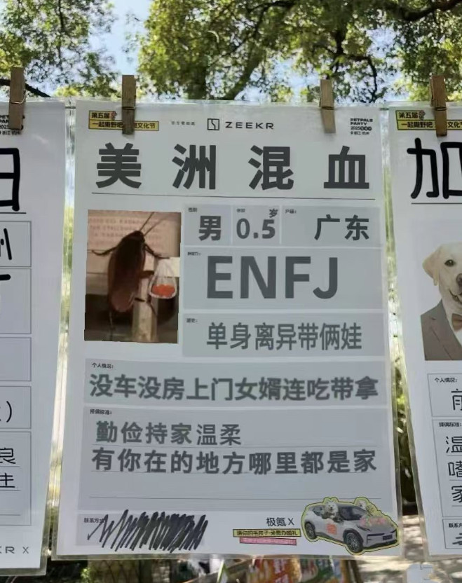老外也开始相亲了，这样的条件如何？