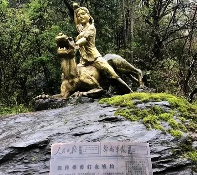 1975年，湖北神农架几名妇女正在田里挖洋芋时，一位女孩因为内急跑去树林中解决，