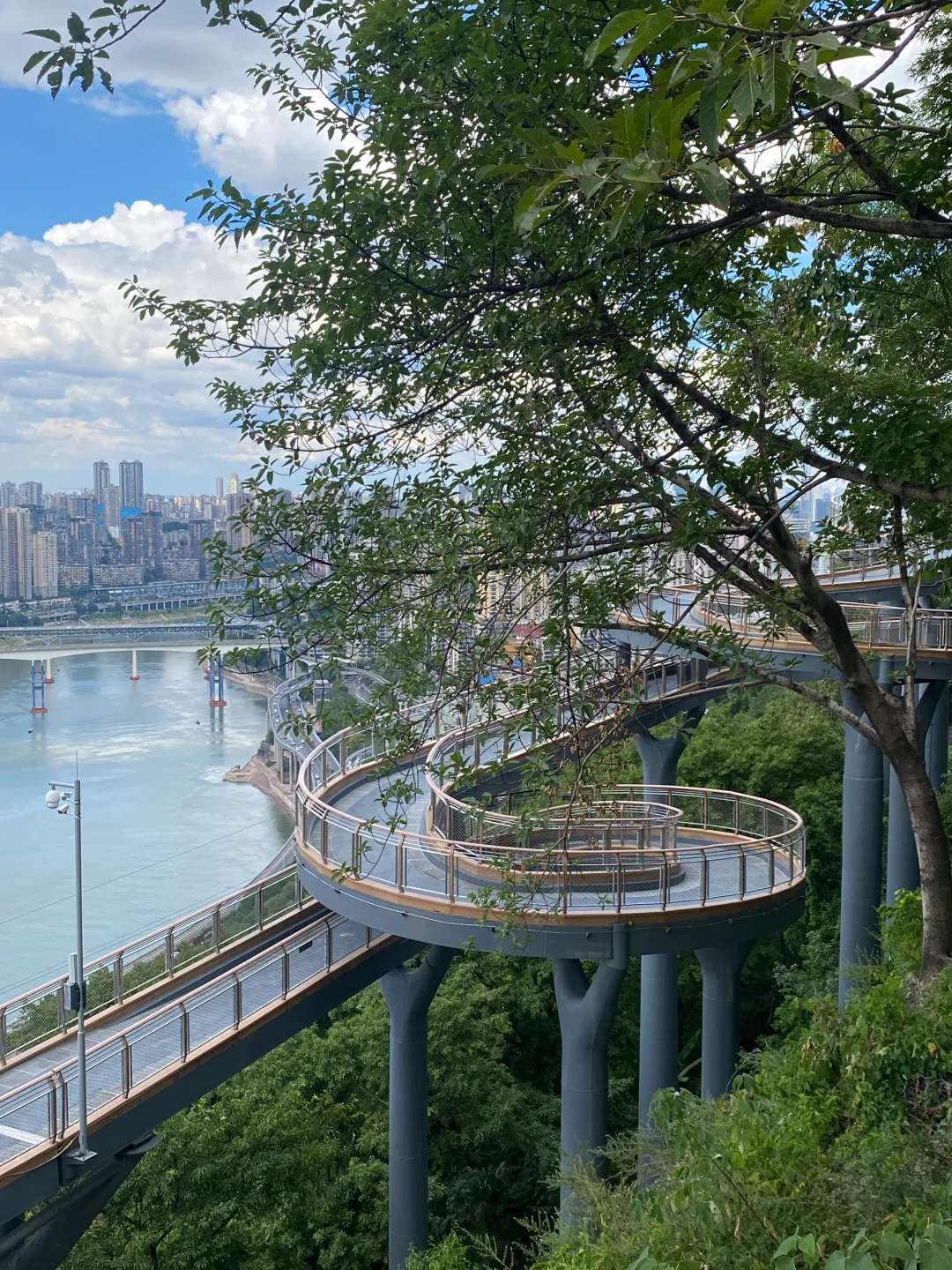 老重庆人的绿色客厅，包凉快的