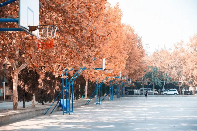 以“华北”开头的高校共4所：华北电力大学（211、双一流），王牌专业为电气工程及