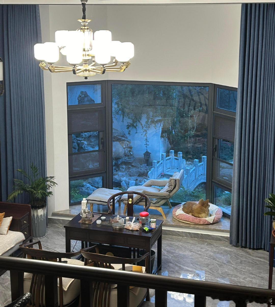 是否应该将乡下的小狗带回家与我同住？