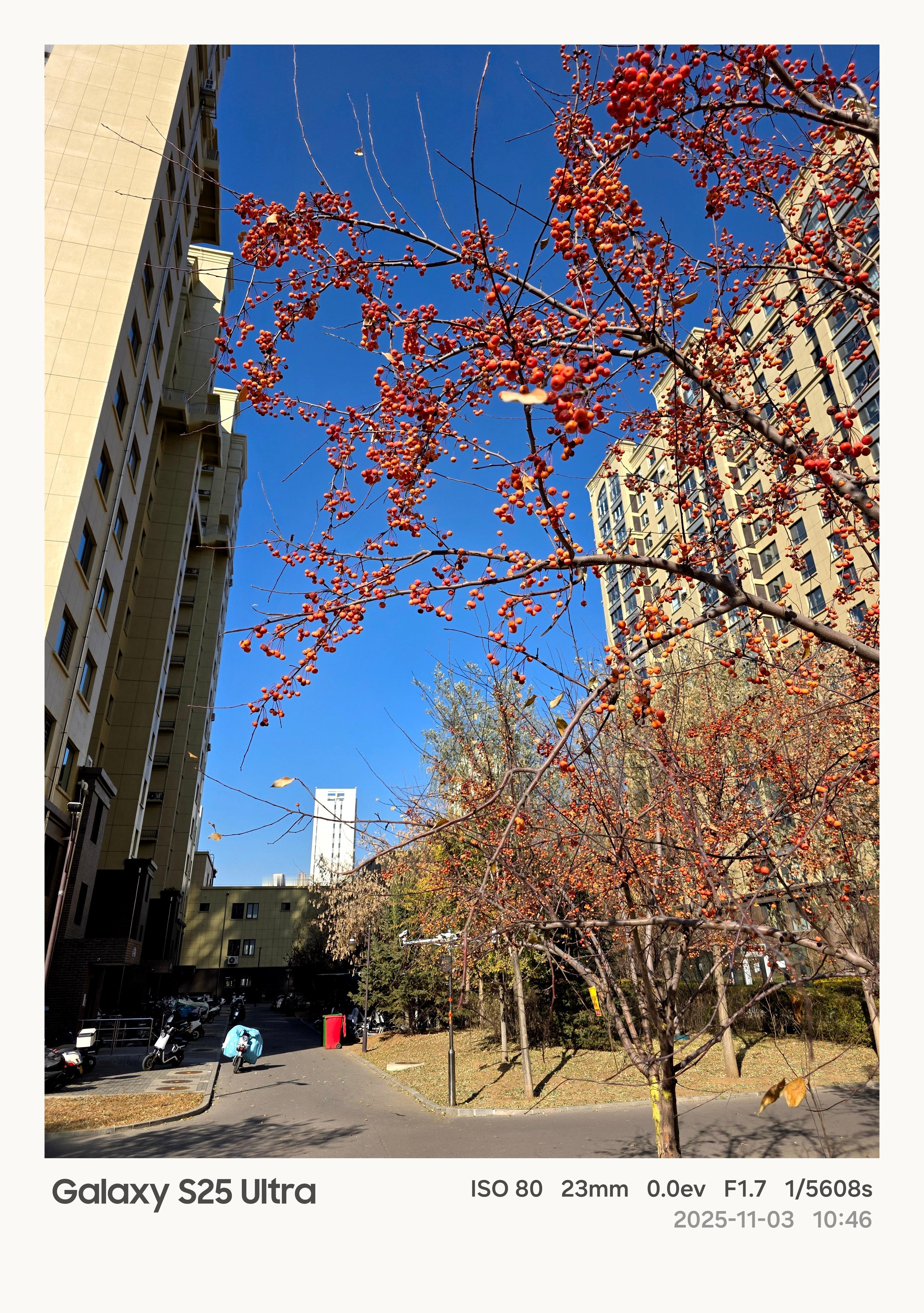 从1倍到100倍对比GalaxyS25Ultra和vivoX3