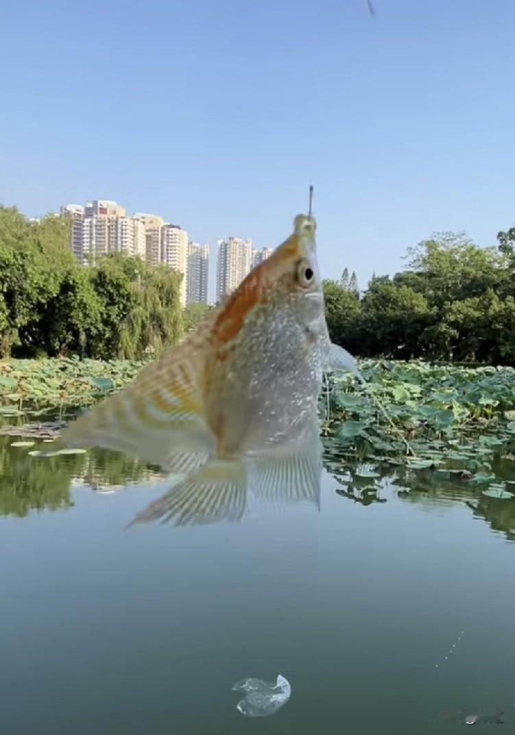 问你一个问题，如果有一天曾经对你有恩的人落魄了，站在你面前，你发现他已经没有任何