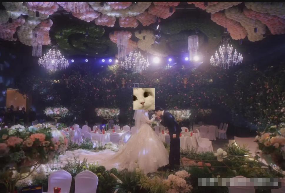 我老婆的婚纱只花580，婚礼当天却人人问链接！说出来你可能不信——我老婆那件