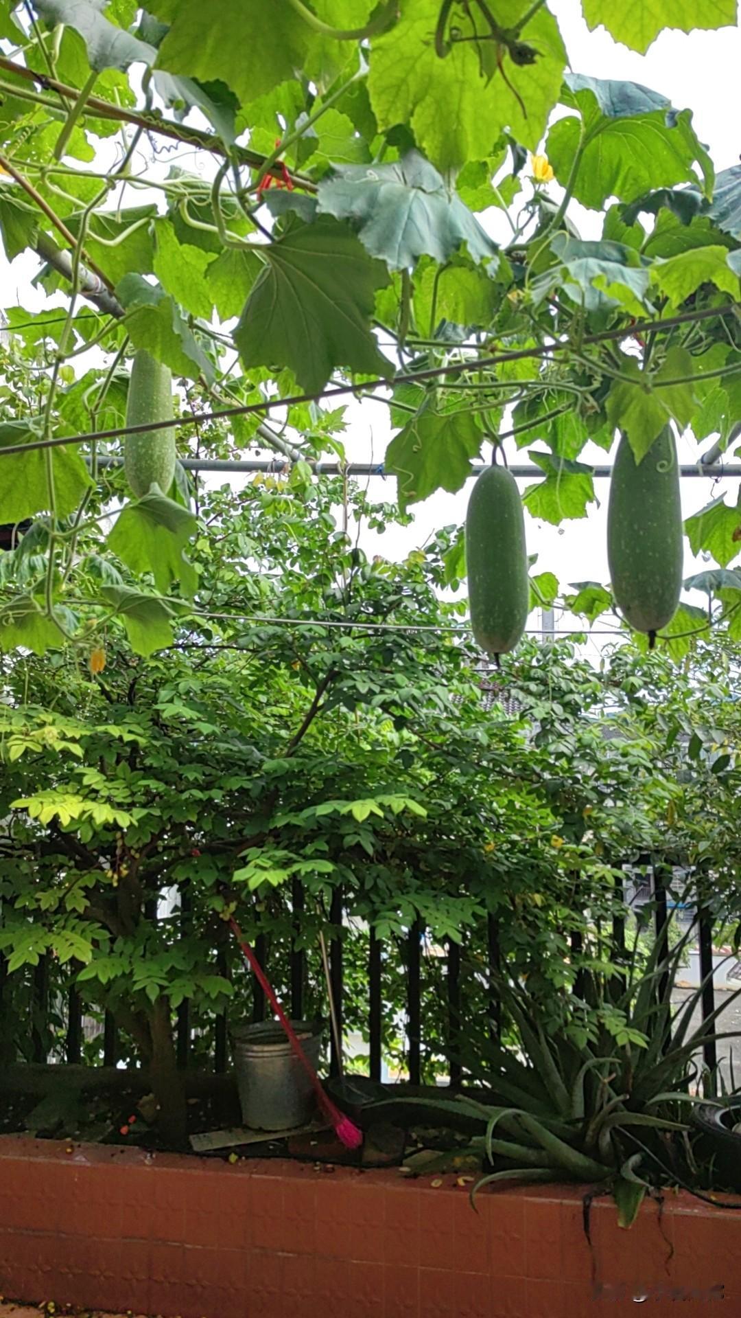 月走千年难落脚日沉万载恨无家日月天伦，银河流浪，东升西落，永不衰停，可叹悬于