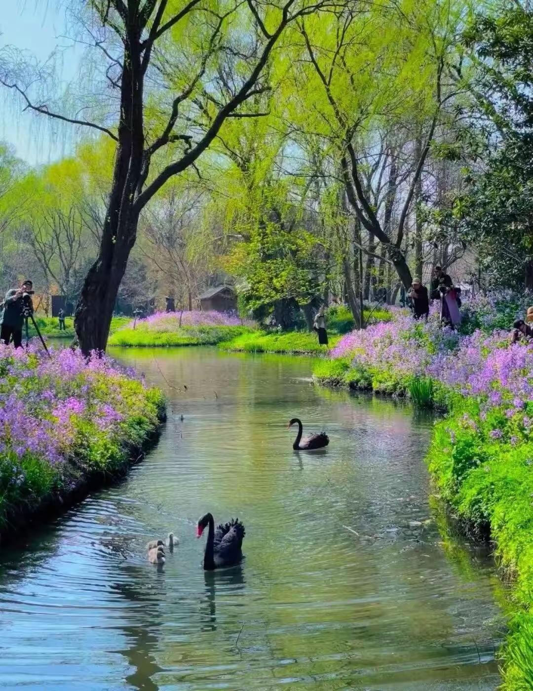 心烦了，就出去走走。不必走远，不必纠结，让风吹一吹乱了的思绪，让路缓缓心头