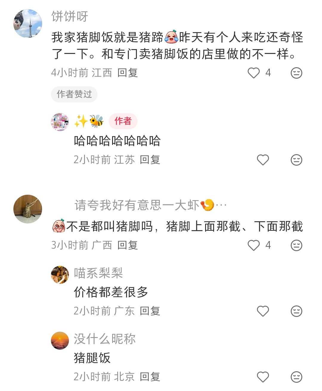 猪脚饭竟然可以不是猪脚做的啊
