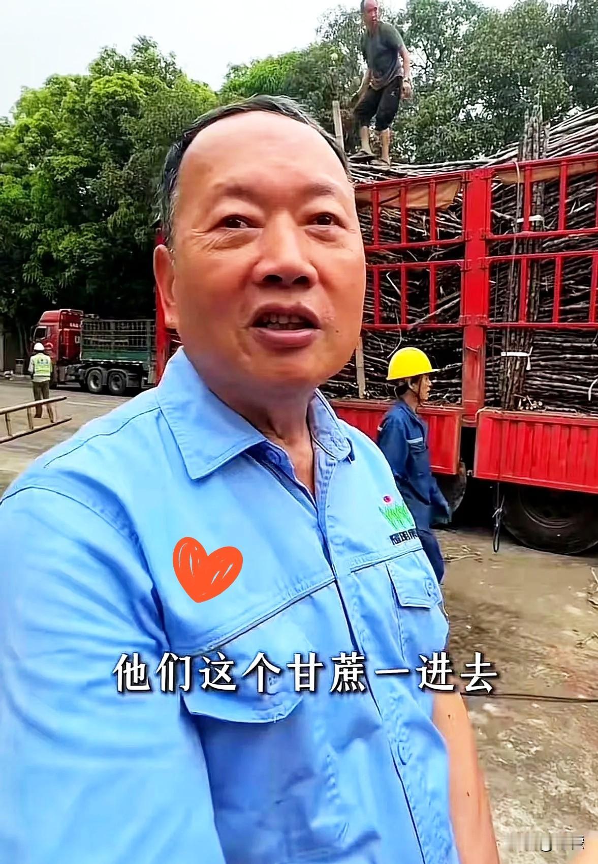 64岁的糖厂老板陈耀，八成做梦都没想到，自己贴钱收了六万多吨快烂在地里的甘蔗救急