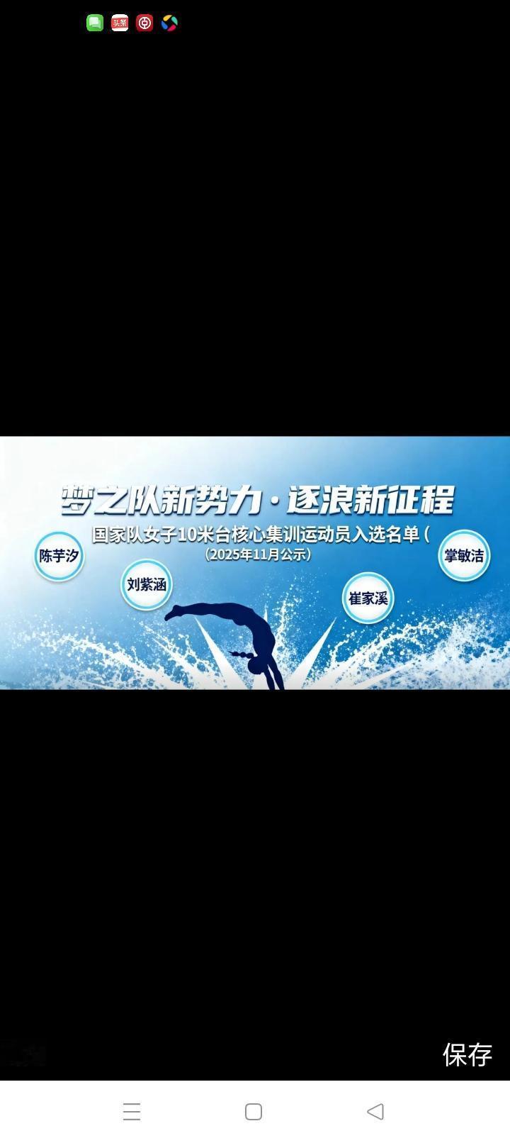 新一届国家女子跳水队核心队员已组建，共四人名单，分别是，陈芋汐，掌敏捷，刘紫涵，