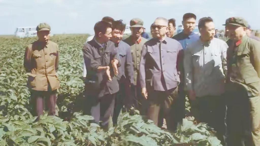 1978年8月，李先念同志在沈阳军区司令员李德生将军（前右一）等陪同下，考察了黑