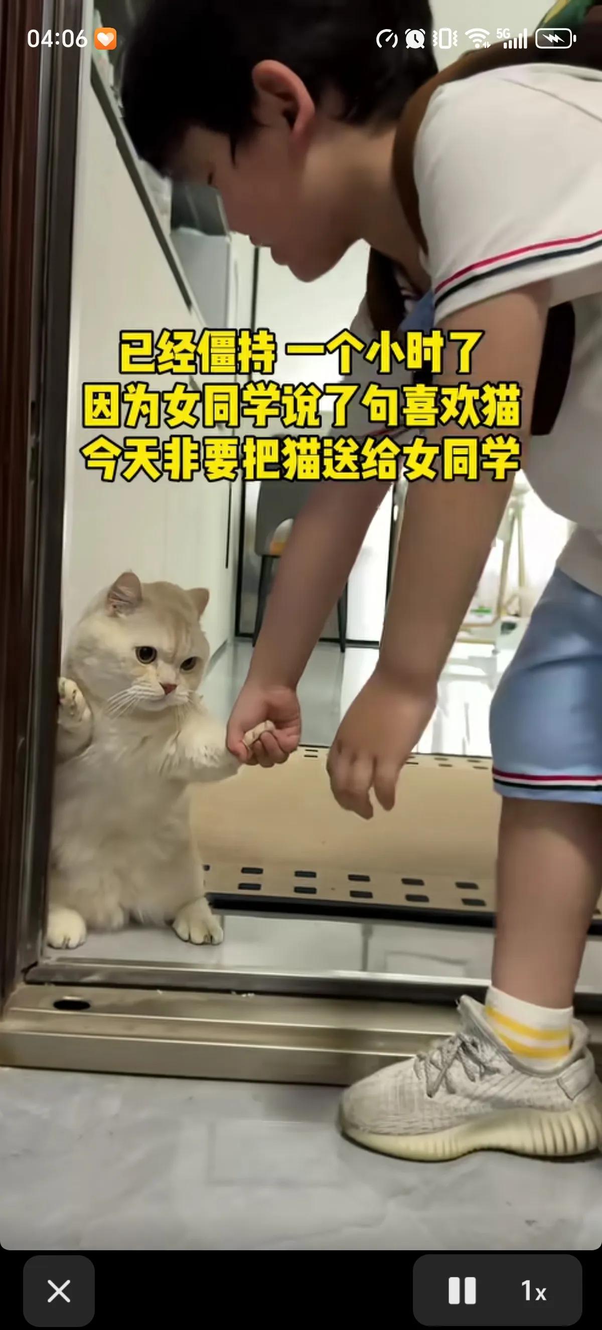 小学生为了讨漂亮女同学欢心，就决定把自家的猫咪送给女同学，因为女同学说她喜欢猫。