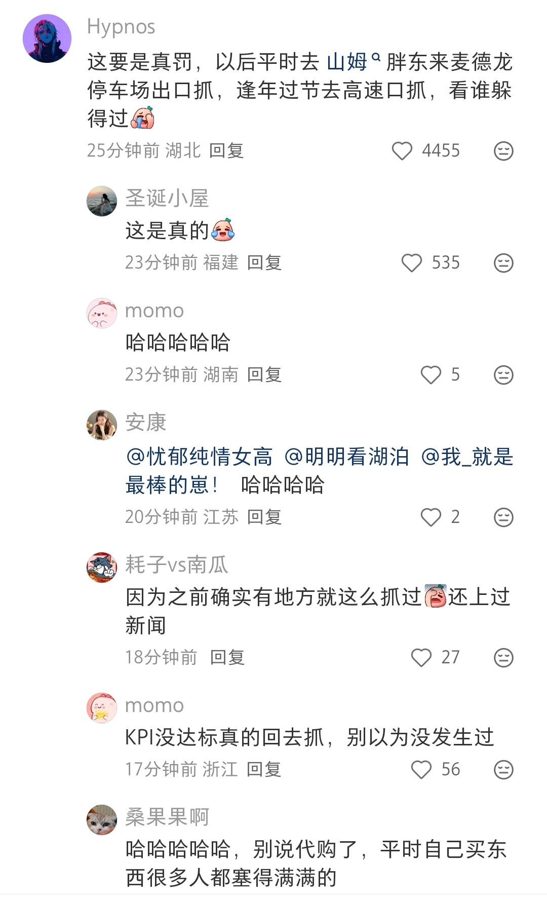 啥意思，是家用车子不能拉货的意思吗