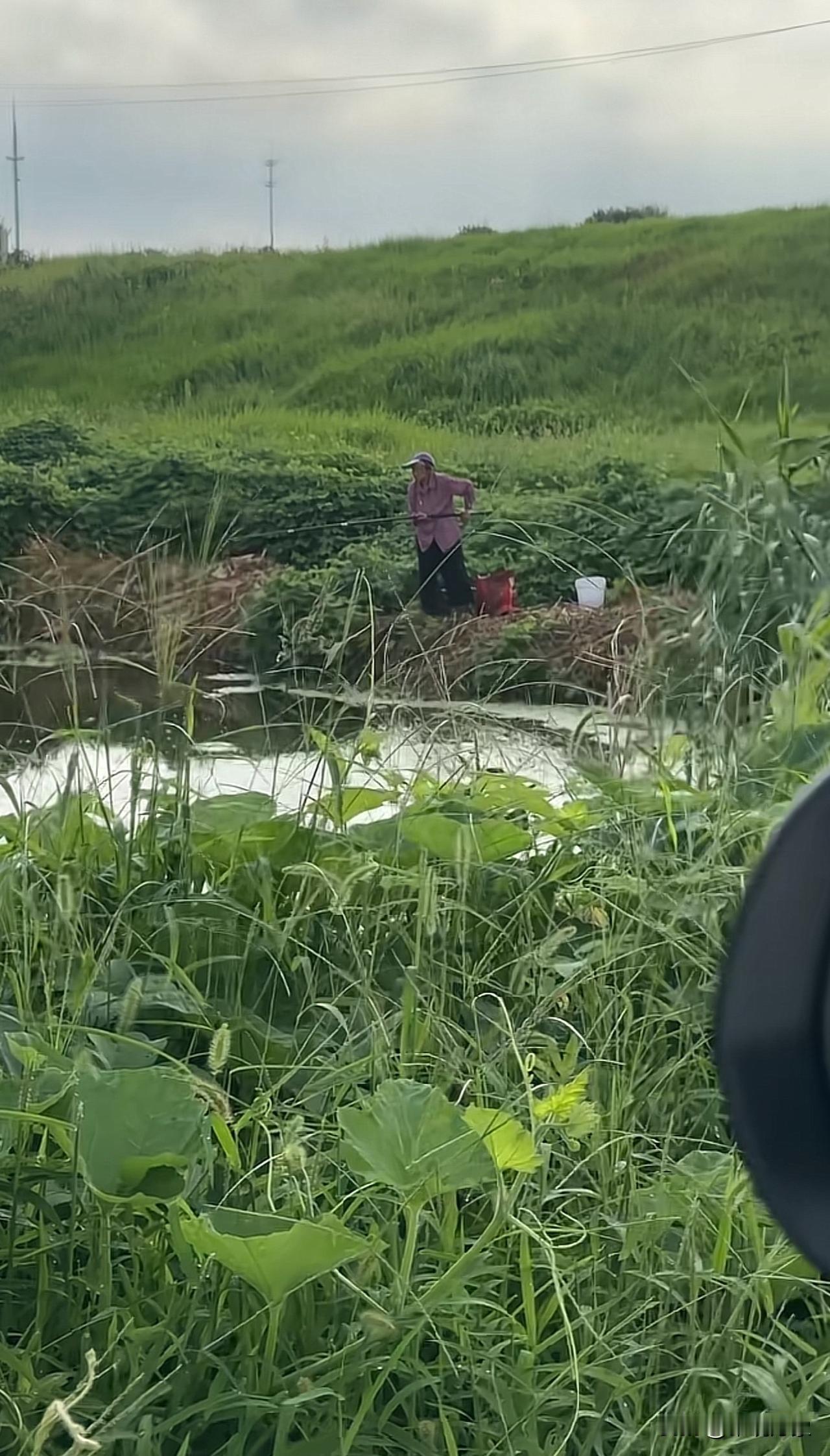 老奶奶每天钓鱼比上班还准时，目测应该八十几岁了，到了这个年龄你还能出来钓鱼吗？