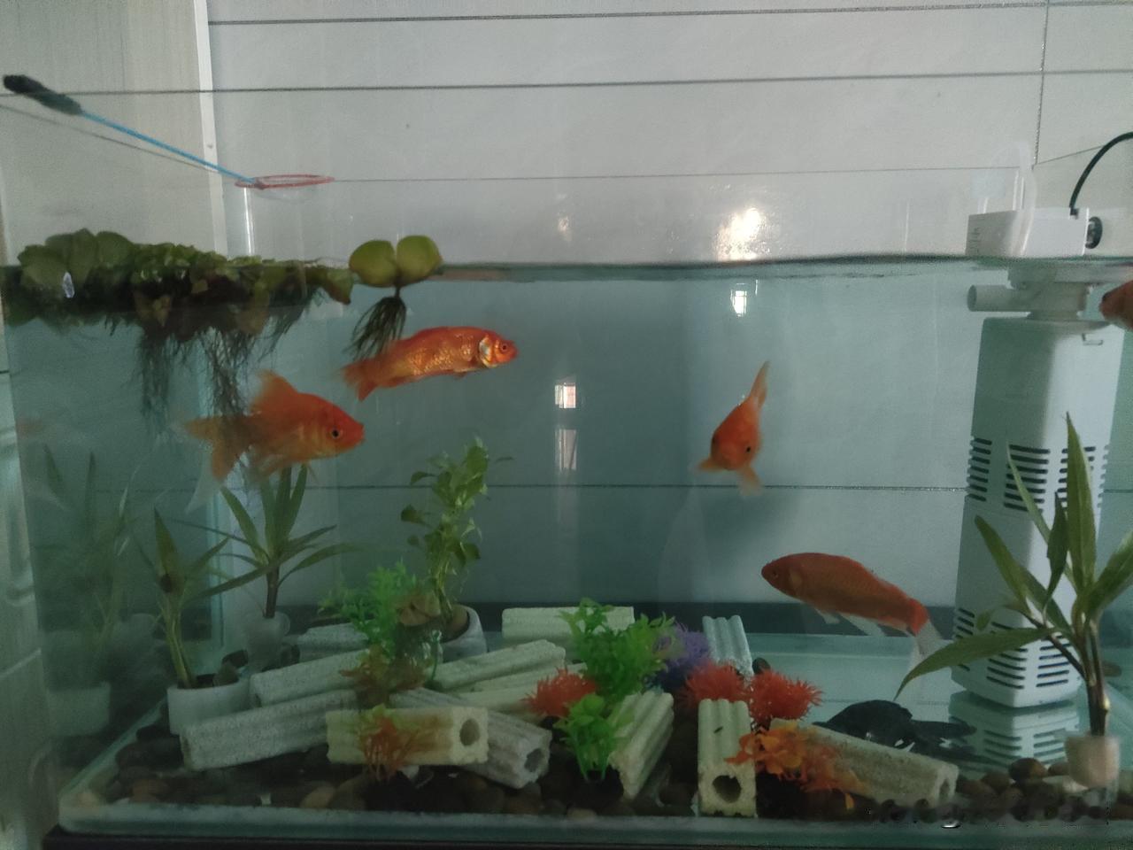 我发现保持快乐真不是靠等好运找上门,而是自己给自己找乐子、松绑子。每天早上