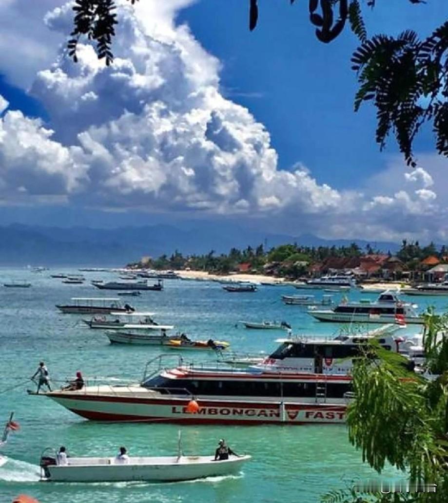 印尼飞机遭遇枪击！2月11日当天，印尼巴布亚省，一小型客机降落触地那一瞬间，