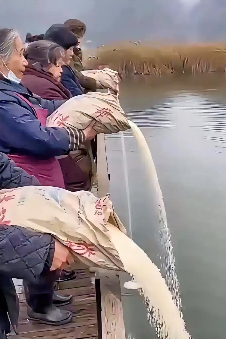 海边一群老人往海里倒大米，三十多袋足足两千斤，边倒还边念经说“放生”，这操作真的