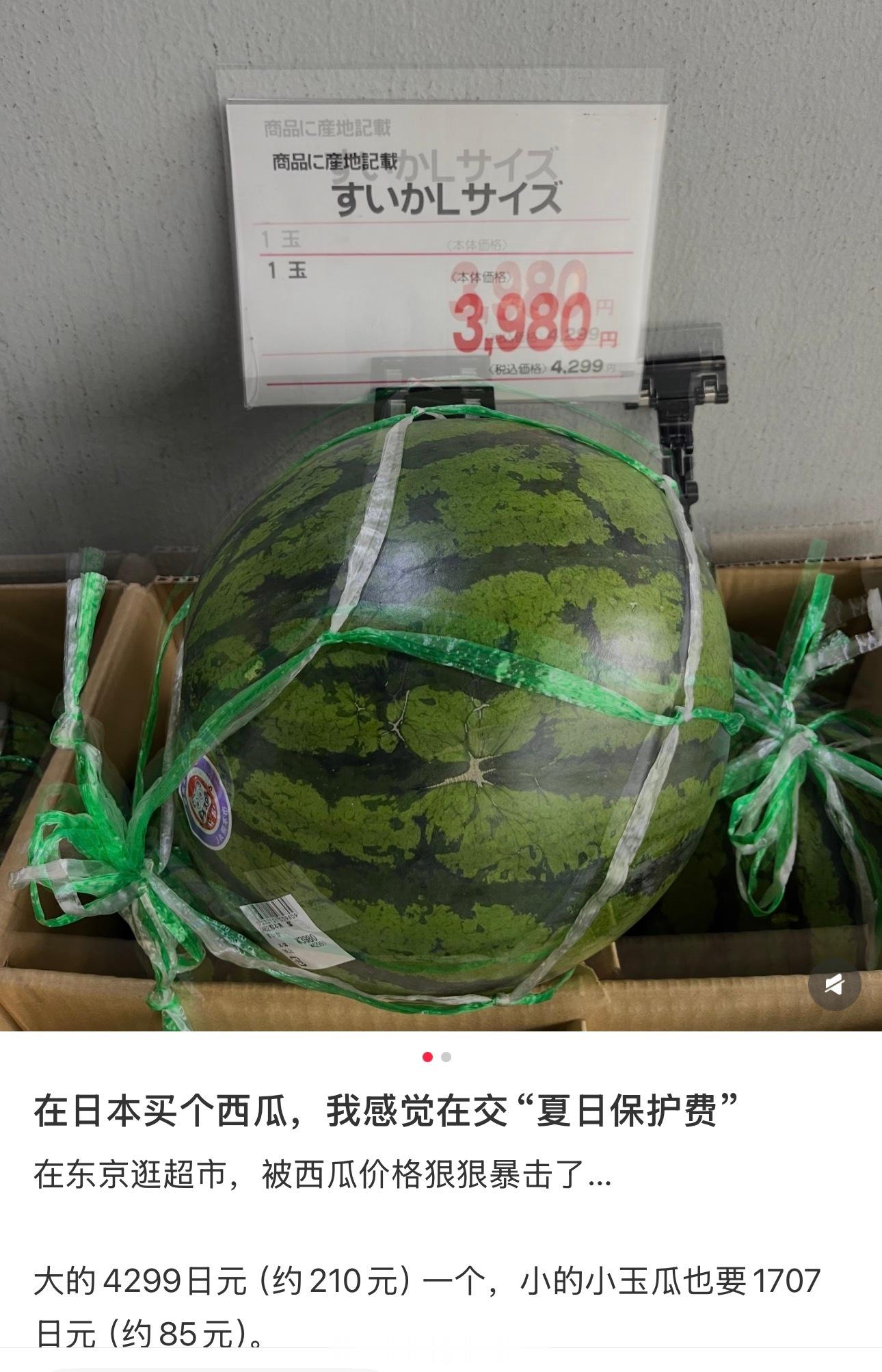 在日本，真是土豪才吃得起西瓜海外新鲜事热点现场