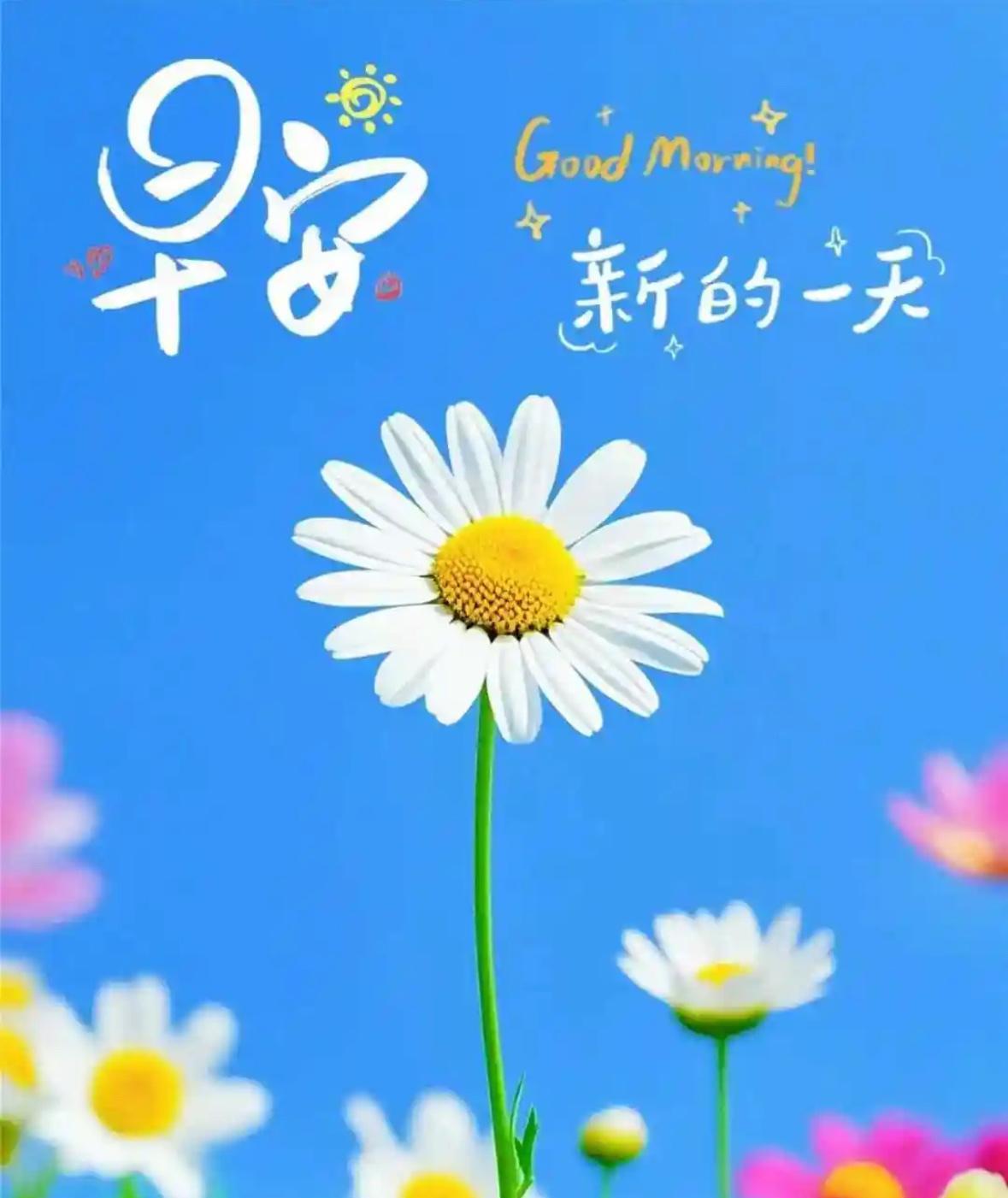 #天津天气#气象台6点发布:市区今天上午多云转阴,下午阴有分散性雷阵雨,前半夜