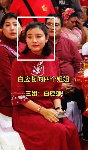 白所成家族的四个女儿都没事！白应兰被通缉，也没有送过来！老大白应香，老二白应兰