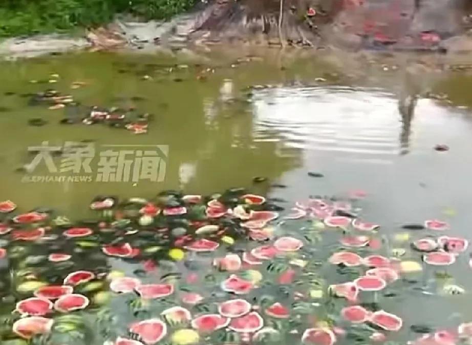 韩国人又破防了每年的端午节韩国都要被世界网友拉出来鞭尸一次，抢偷申遗端午节成了