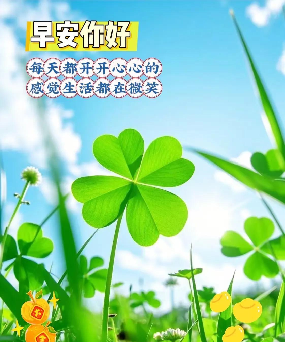 早上好，今天是5月3日星期六。晟育杯女排精英赛，天津3-0胜福建青年女排取得第