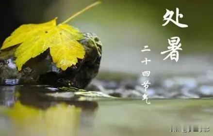 今日处暑，当天晴天是好还是不好？答案来了大家好，今天就是处暑节气。作为二十