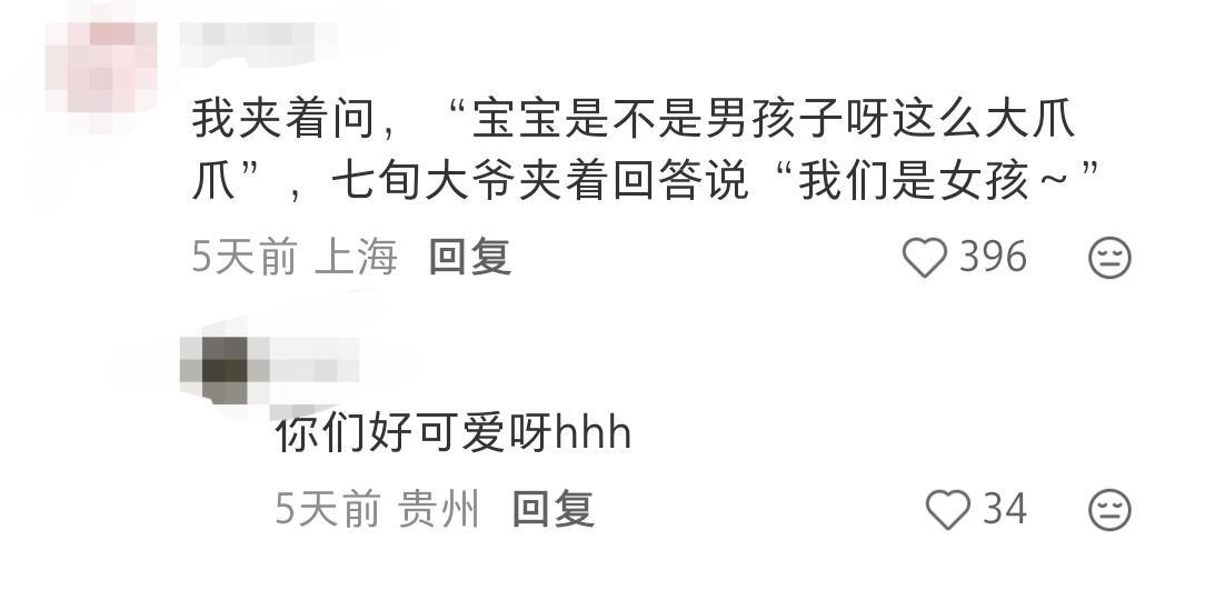 哈哈哈太真实了，狗主人就是一个代回答的作用