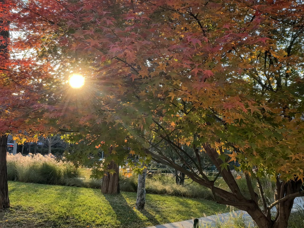 随手拍一张夕阳西下的美景我家院子外面不远处有一栋小屋，地方不大，今年开了一家咖啡