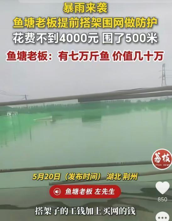据5月20日荔枝新闻报道，在湖北荆州一场特大暴雨倾盆之前，一位鱼塘老板果断支出不