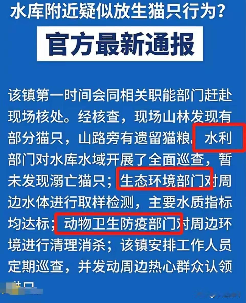 可恶打着救助的名义骗取你们的捐款！水库放生猫咪后续：300只猫死亡，放生团队动