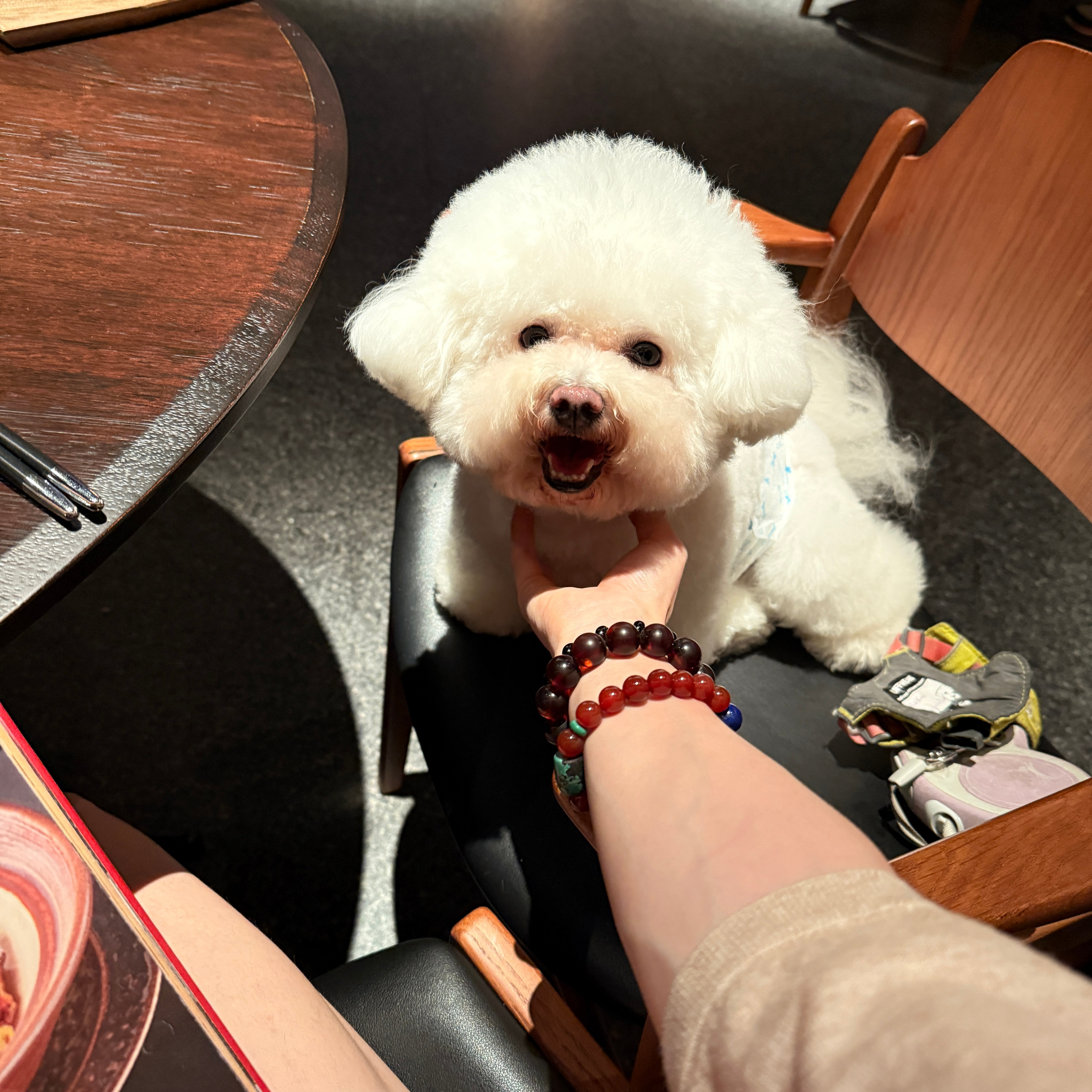 九连ku🥰​​​
