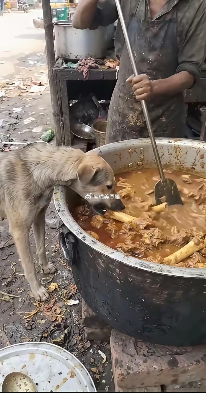 神奇的印度街边美食，令人垂涎三尺！​​​