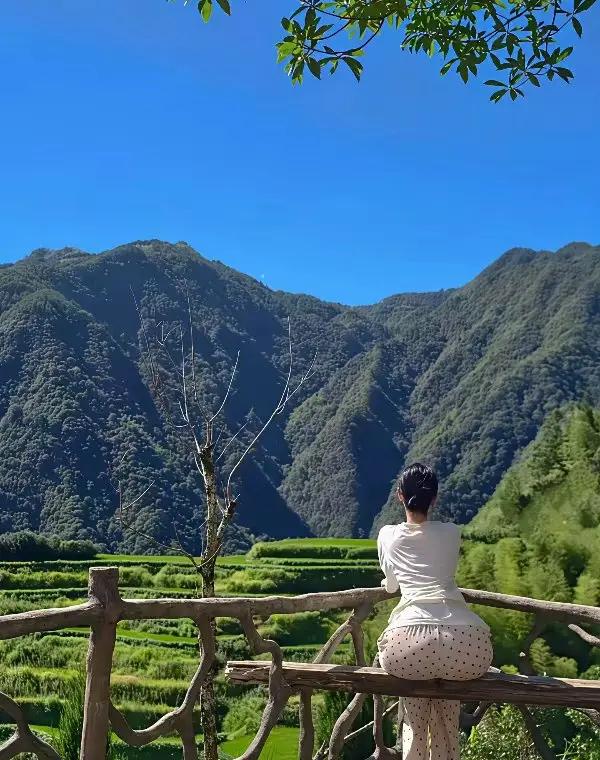篱笆女人和狗形容美人的诗句都有啥来的?