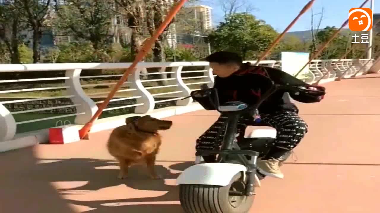 6591442382602057247.jpg?id=0