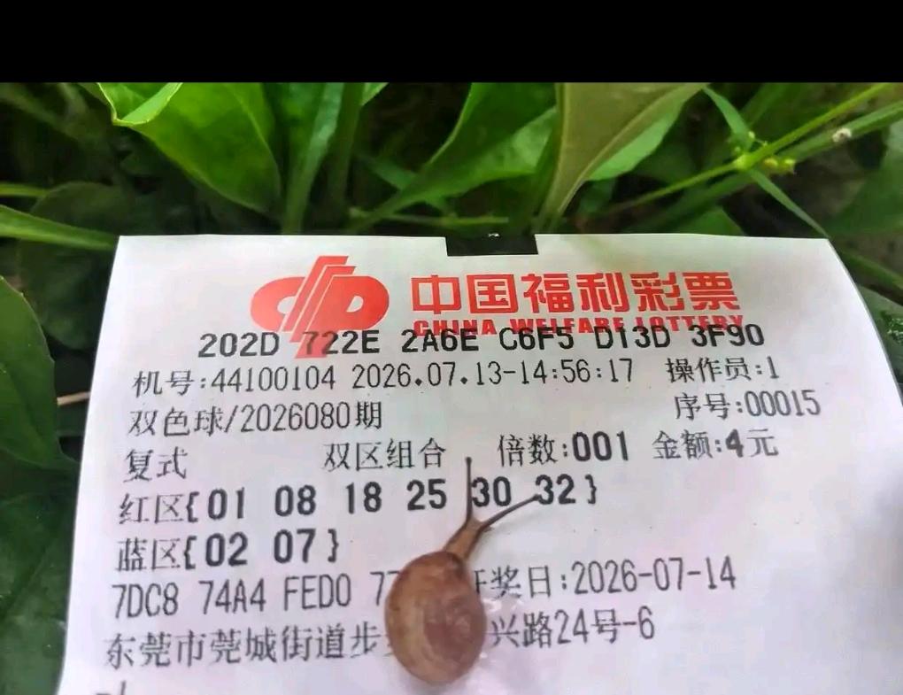 本期的7倍单挑票风格很有特色，前区搭配01、31同尾首尾，还有18、28同尾号，