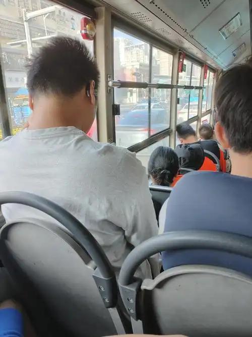 为什么人一坐上公交车就容易犯困，哪怕刚睡醒也一样？很多人会把这事儿归为“自