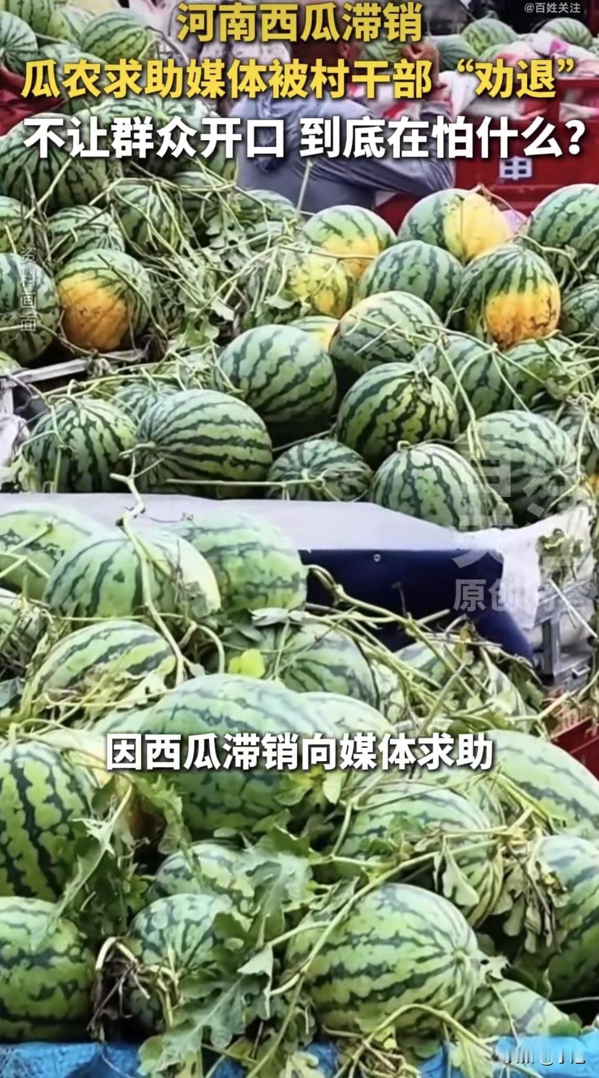 75岁的老瓜农王在太蹲在地头，40吨西瓜差点全烂在地里。他种了42年瓜。