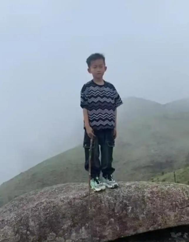 8岁男童失踪4天迎来转机，搜救犬出动走失地点明确，或随人群下山，这是真的么？ 