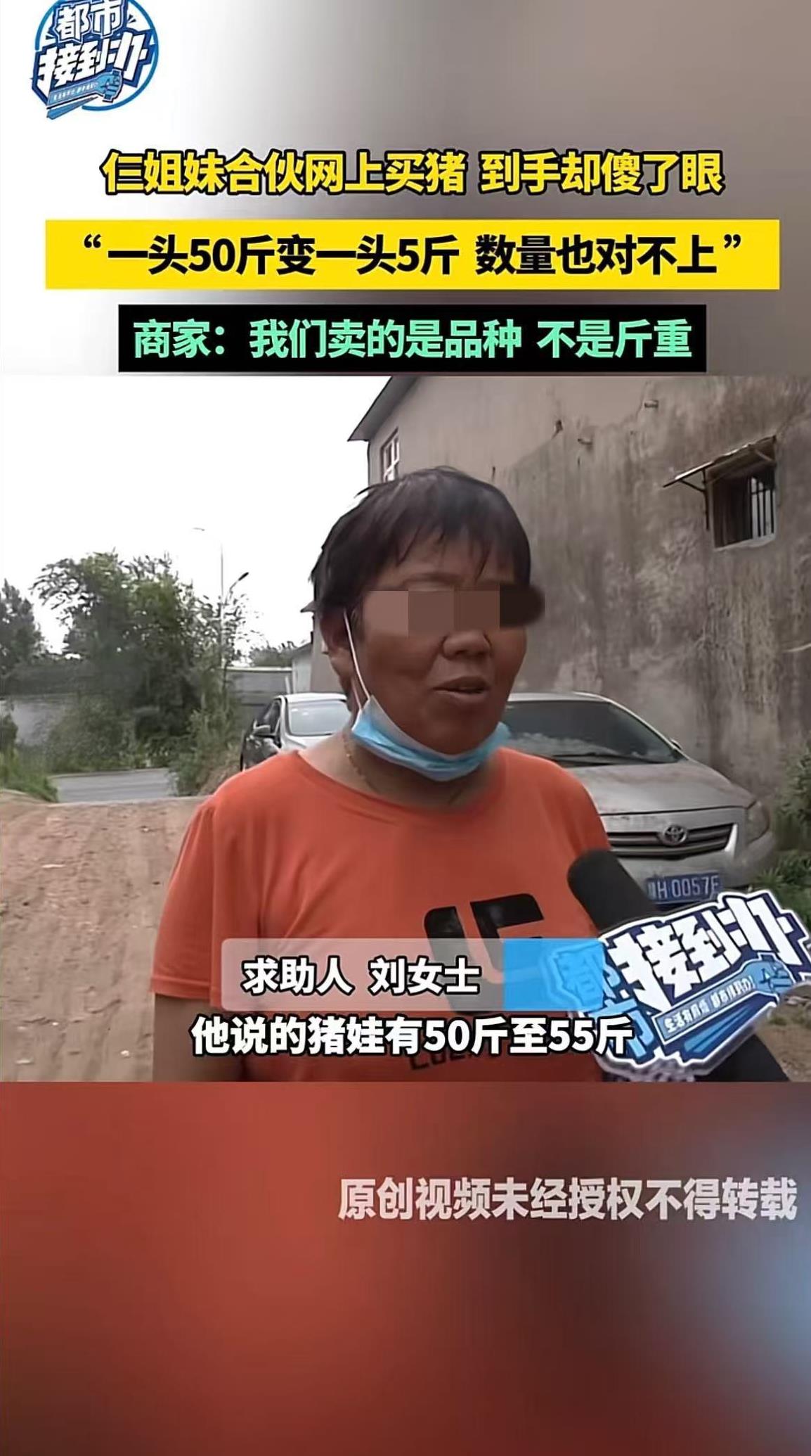 河南郑州，仨姐妹见网上有人卖猪，承诺每头50-55斤，500块一头，仨人觉得价钱