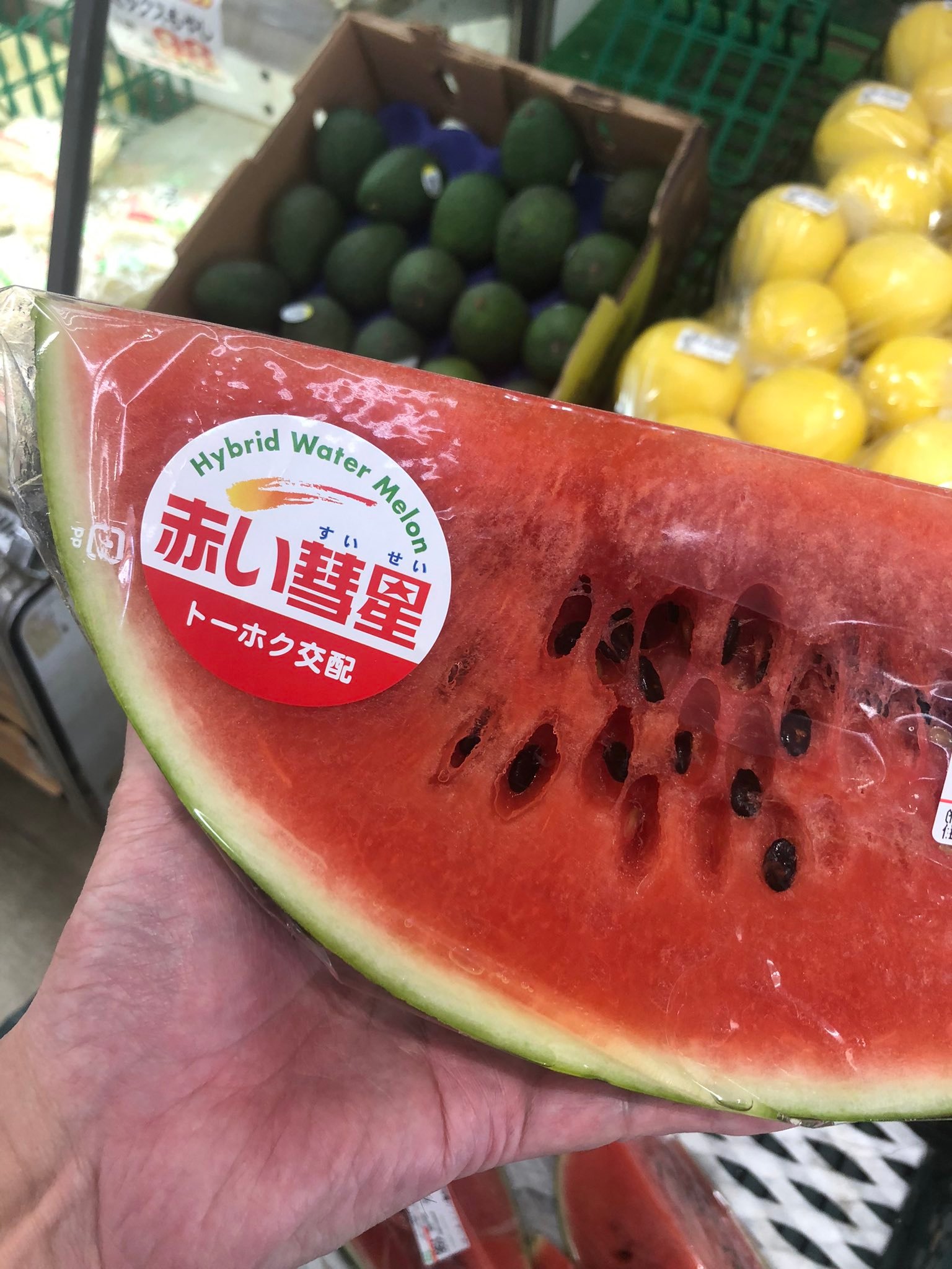 你也配叫赤色彗星？[？？？][？？？][？？？]​​​