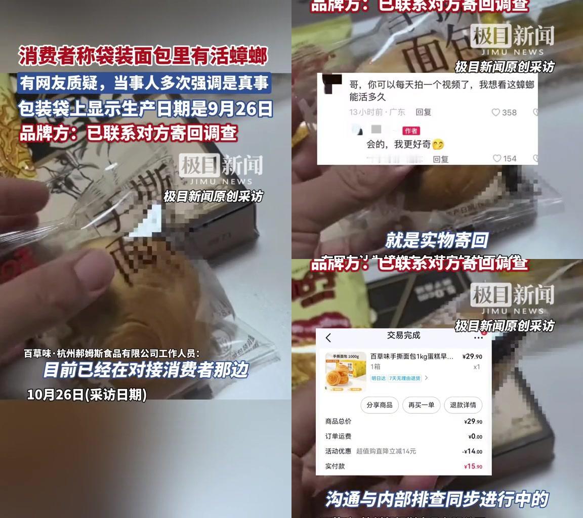 谁能想到拆袋面包能拆出活蟑螂?!今早刷到个离谱事:有人买的百草味独立包装