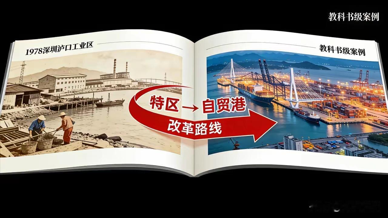 印度经济学家说：情感上很难接受中国经济的强大，但海南全岛封关的突破性政策，让我们