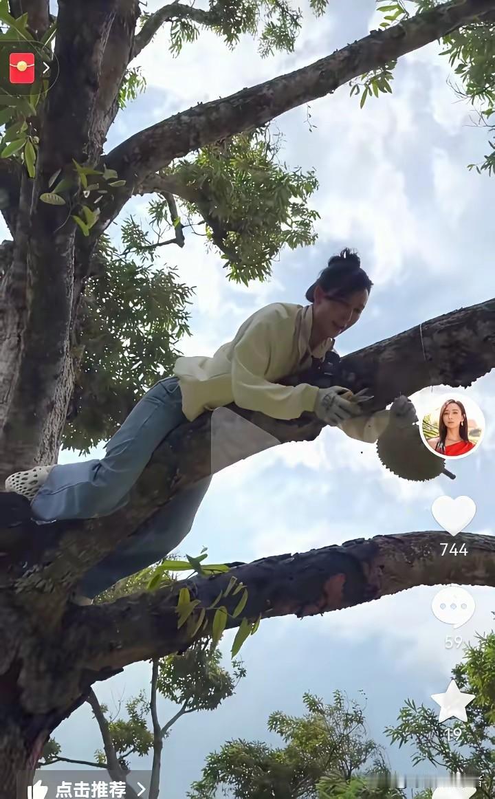 胡静家真的有榴莲树，朱兆祥真的太爱胡静了，胡静喜欢吃榴莲，他就种榴莲树，胡静真是