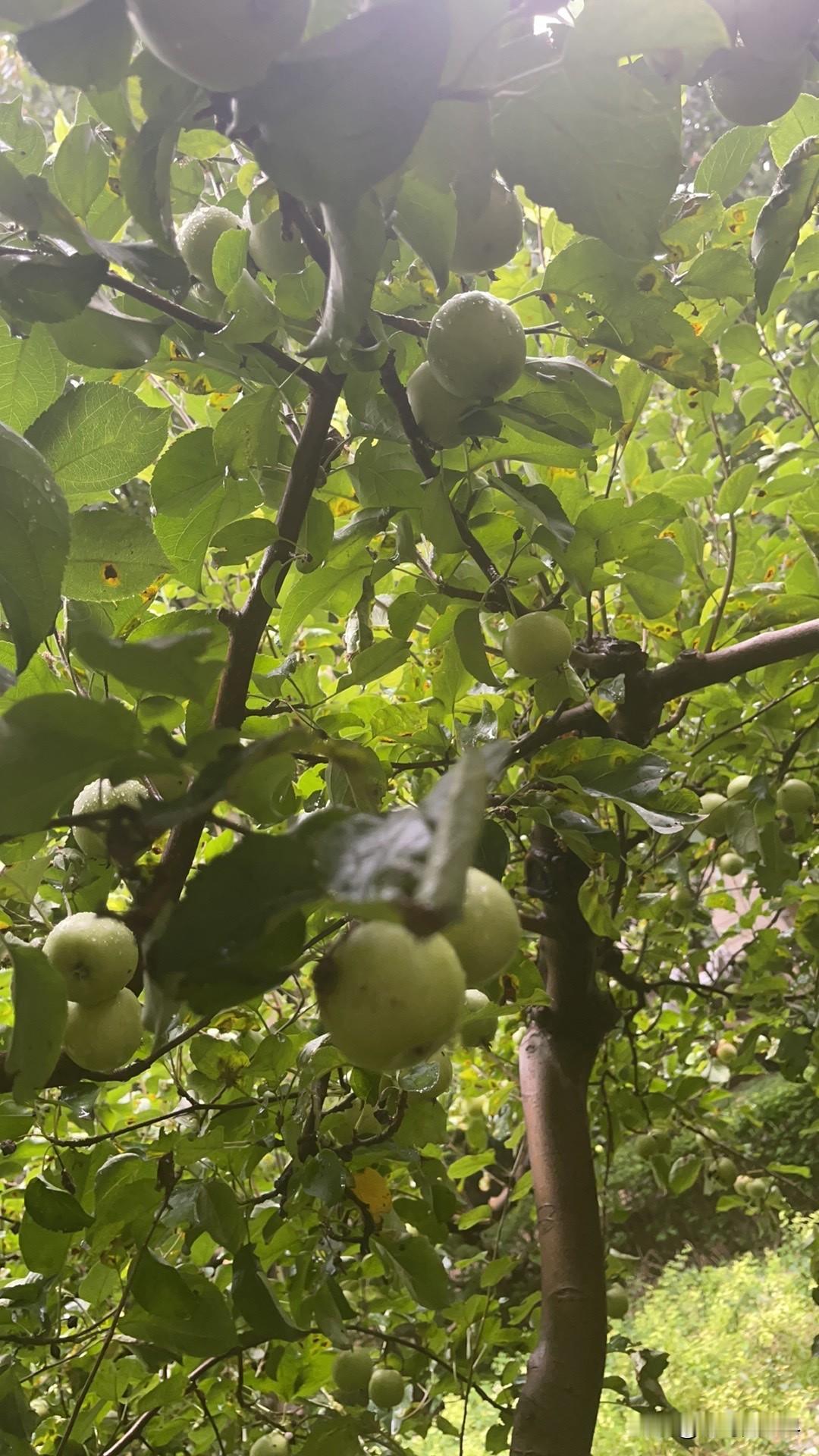 什么样的人，活着最累勤劳又上进的人