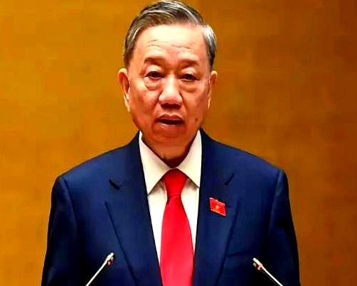 越南这次真是把“反复无常”演绎到了极致！日本驻越大使直接摊牌，百亿美元的宁顺2号